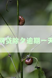 网贷除夕逾期一天算逾期吗？影响及解决方法全解析
