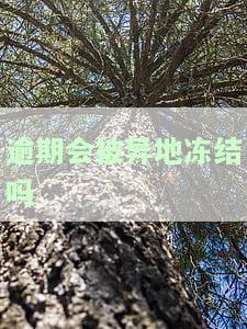 逾期会被异地冻结吗？微信、微信支付及微信支付宝的相关风险需警惕