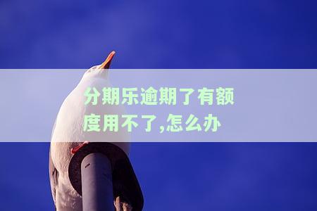 分期乐逾期了几天借款借不了怎么办，如何解决分期乐逾期导致的借款困难？