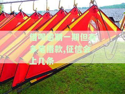 借呗逾期一期，多笔借款，征信会显示几条记录？