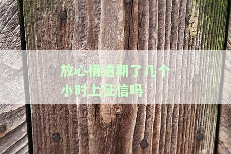 放心借逾期了几个小时上征信吗会怎么样，关于放心借逾期几个小时是否会纳入征信的解答