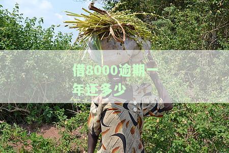 8000逾期一年最多需要还多少，逾期一年，8000元贷款应还多少？