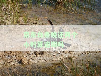 晚几个小时还款会有什么影响？