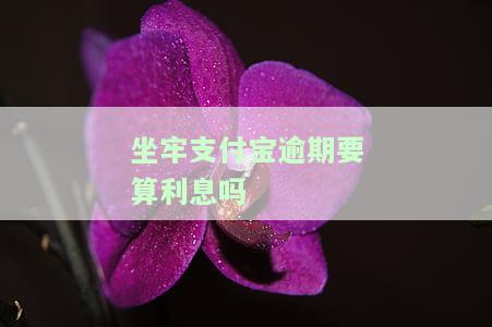 坐牢支付宝逾期要算利息吗