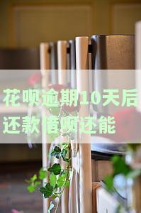 花呗逾期10天后还款借呗还能用吗，花呗逾期10天后还款，借呗是否能继续使用？