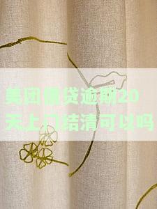 美团借贷逾期20天上门结清可以吗知乎，美团借贷逾期20天，上门催收能解决问题吗？知乎网友分享经验