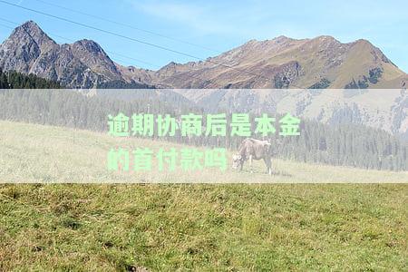 逾期协商后是本金的首付款吗怎么办，逾期协商后，应如何处理剩余本金及首付款？