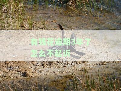 有钱花逾期三年，该如何处理及后果分析？