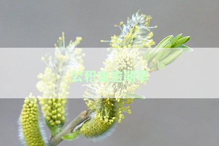 公积金逾期率国家控制线，公积金逾期率：国家制定严格控制线以维护社会稳定和金融安全
