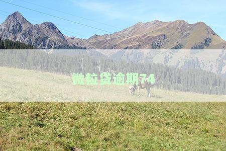 微粒贷逾期7天能否再次借款？