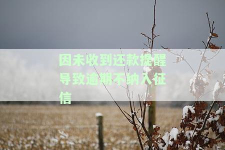 因未收到还款提醒导致逾期不纳入征信，避免逾期记录影响信用：为何未收到还款提醒需格外注意？