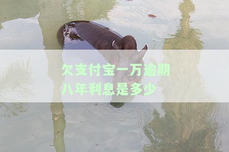 欠支付宝一万逾期八年利息是多少？