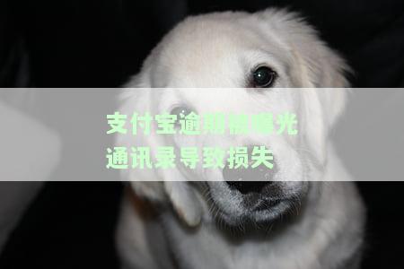 支付宝逾期三个月被爆通讯录：如何处理？