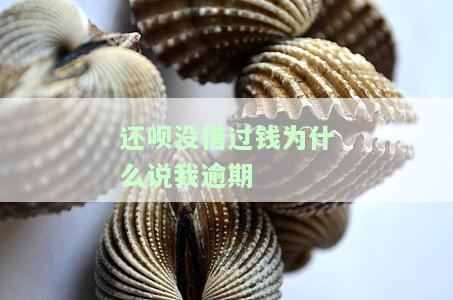 还呗未借款却遭扣款，原因何在？