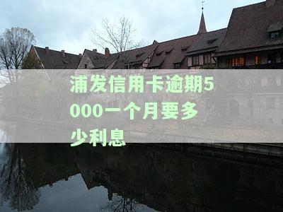 浦发信用卡6000元逾期两年：会对您的出国行程有何影响？