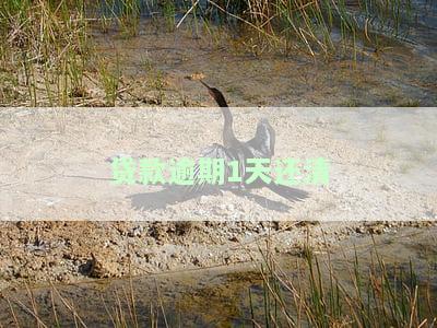 贷款逾期1天还清可以吗？影响大吗？