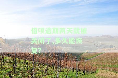 借呗逾期两天被关掉：何时能重新开通？