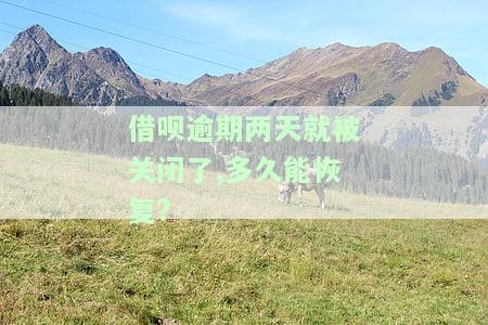 借呗不小心逾期了几天被关闭了一般多久会开起来，借呗逾期后被关闭，一般多久能重新开通？