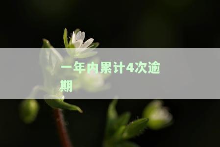 一年内累计4次逾期怎么办，如何应对一年内累计4次逾期的情况？