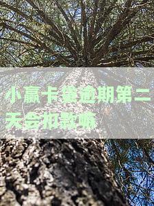 小赢卡贷逾期一天会影响银行贷款吗，小赢卡贷逾期一天会对银行贷款产生影响吗？