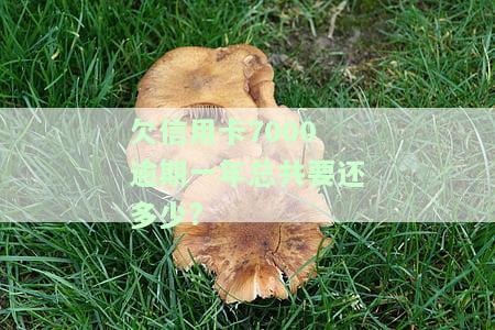 欠信用卡7000逾期一年总共要还多少利息，解答：欠信用卡7000逾期一年，需要偿还多少利息？