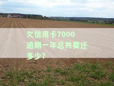 欠信用卡7000逾期一年总共要还多少?