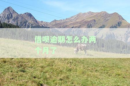 借呗逾期两个月未恢复，如何恢复正常及影响征信？