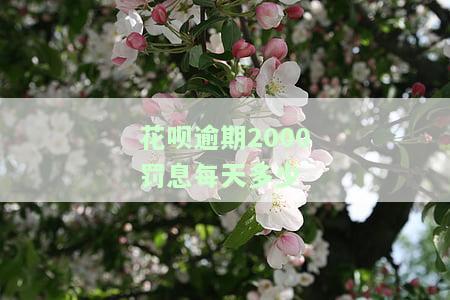 花呗欠款2000元逾期多长时间会被起诉，逾期多久会被告？——花呗欠款2000元的法律风险