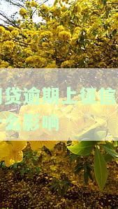逾期一个月是否会影响征信？探讨信用卡、贷款逾期一个月的后果