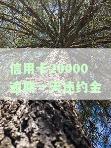 信用卡20000块逾期一天，逾期一天，信用卡欠款20000元该如何处理？