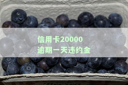 2万信用卡违约金，警惕高额违约金！如何避免2万元信用卡债务危机？