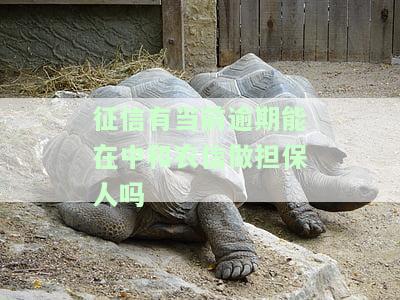 征信有当前逾期能否在中和农信做担保人？其他情况下的担保又如何？