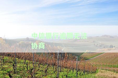 中信银行不协商怎么办，中信银行无协商余地：如何应对？