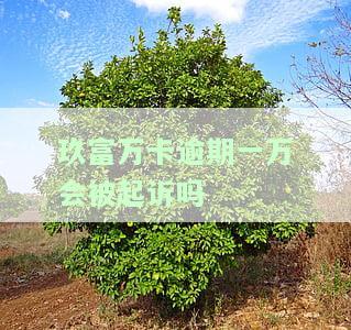 玖富万卡逾期一万会被起诉吗