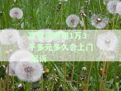 富宝贷逾期1万3千多元多久会上门,起诉