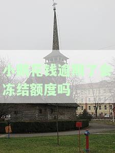 小鹅花钱逾期几天被冻结：如何解冻？