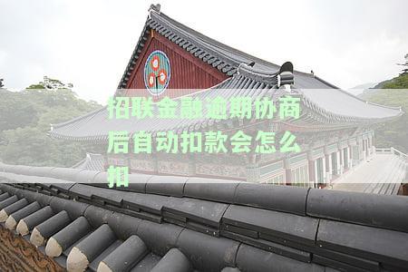 招联金融：协商成功案例与可能性全解析