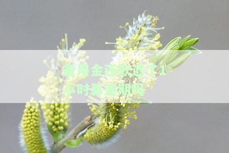 备用金还款了1小时算逾期吗为什么，备用金还款晚了一小时，是否算作逾期？原因解析