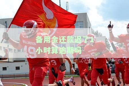 备用金晚还了一个小时，了一小时的备用金还款：影响及解决方法