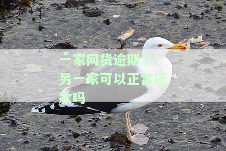 网贷逾期一家和十家，网贷逾期：一家公司与十家公司之间的对比分析