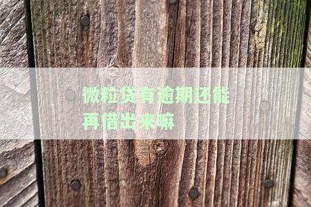 微粒贷有逾期还能再借出来嘛-微粒贷有逾期还能再借出来嘛