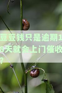 豆豆钱只是逾期18天就会上门催收?-豆豆钱逾期了催收是老家的,要上门是真的吗