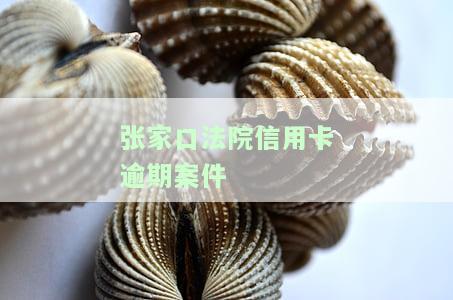 张家口法院信用卡逾期案件查询系统：一站式解决官方信息查询需求