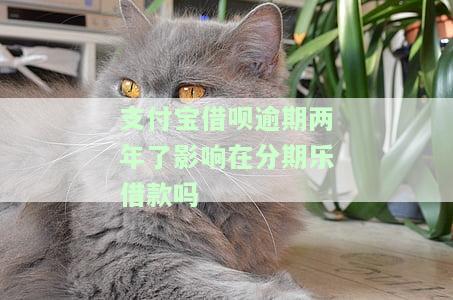 支付宝借呗逾期两年欠款会否被起诉?
