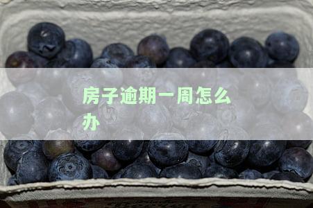 房子逾期了：违约金未付，开发商却要求交房，何时能获得赔偿？