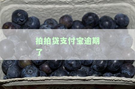 拍拍贷逾期600天还款后支付宝记录消除吗，拍拍贷逾期600天后还款，支付宝记录是否会被清除？