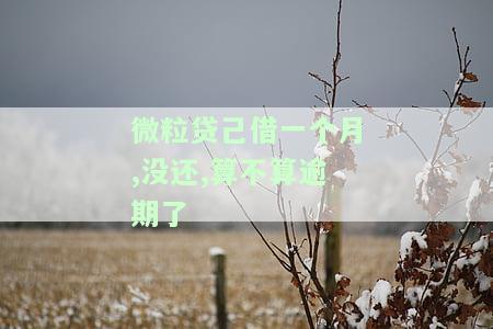 微粒贷借钱一个月后不还会怎么样，逾期一个月不还微粒贷的后果是什么？