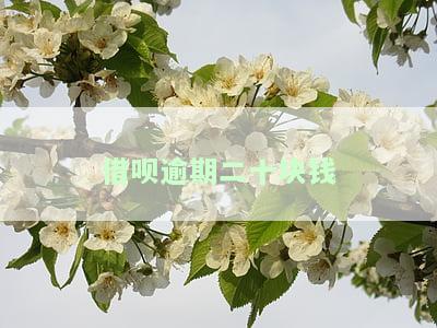借呗逾期二十块钱会起诉吗，二十块钱的借呗逾期会被起诉吗？