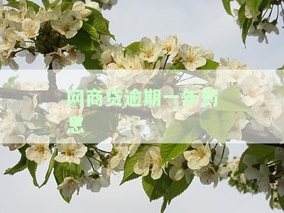 网商贷10万逾期一年了：影响及解决办法