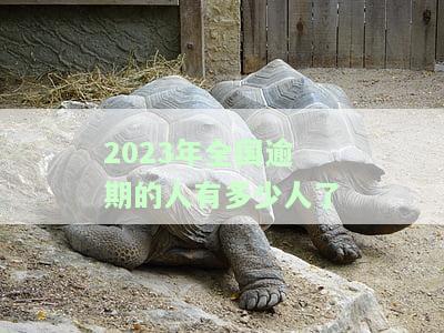2020年全国逾期人数，揭秘：2020年全国逾期人数数据大曝光